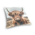 thumbnail image 3 of Ryvnso A Highland Cow Throw Pillow Covers Couch Pillowcases Decor for Bed Sofa 18" x 18", 3 of 7