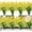 Yellow, variant on 12Pcs Corn Flower Artificial Flowers Outdoor UV Resistant Fake Flowers,Faux Plastic Flower Greenery Shrubs Plants for Cemetery Indoor Planter Home Garden Window Box Porch Summer Decor(White)