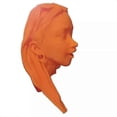 thumbnail image 1 of Cabeza de botella Funny Hawk Tuah para Windex Spray Bottle Head, 1 of 4