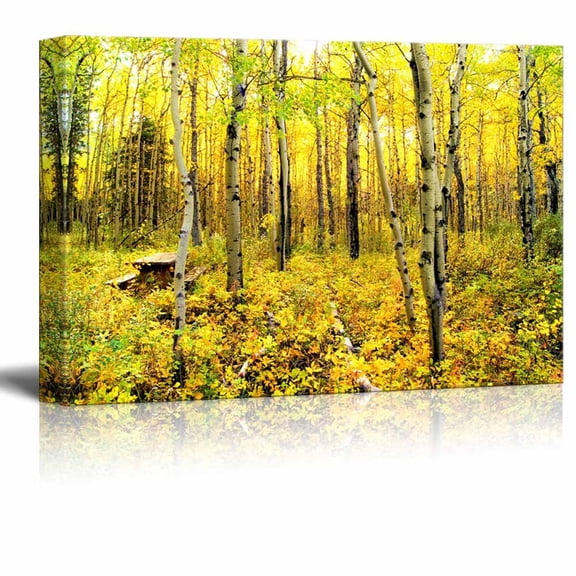 Yellow Trees Vibrant Colors of an Alpine Aspen Forest in The Canadian Rockies in Autumn Wood Framed - Canvas Art Wall Art - 24" x 36"