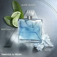 thumbnail image 3 of CHROME * Loris Azzaro 0.5 oz / 15 ml Travel Size EDT Men Cologne Spray, 3 of 3