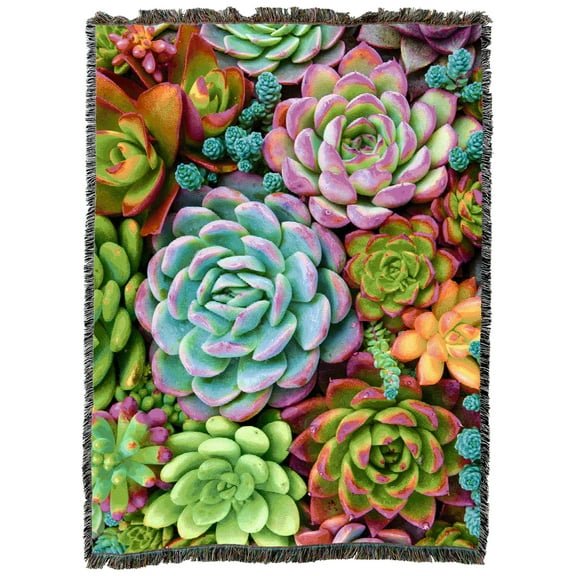 Pure Country Weavers Bright Succulents Blanket Tapestry Throw Woven from Cotton - Made in The USA (72x54)