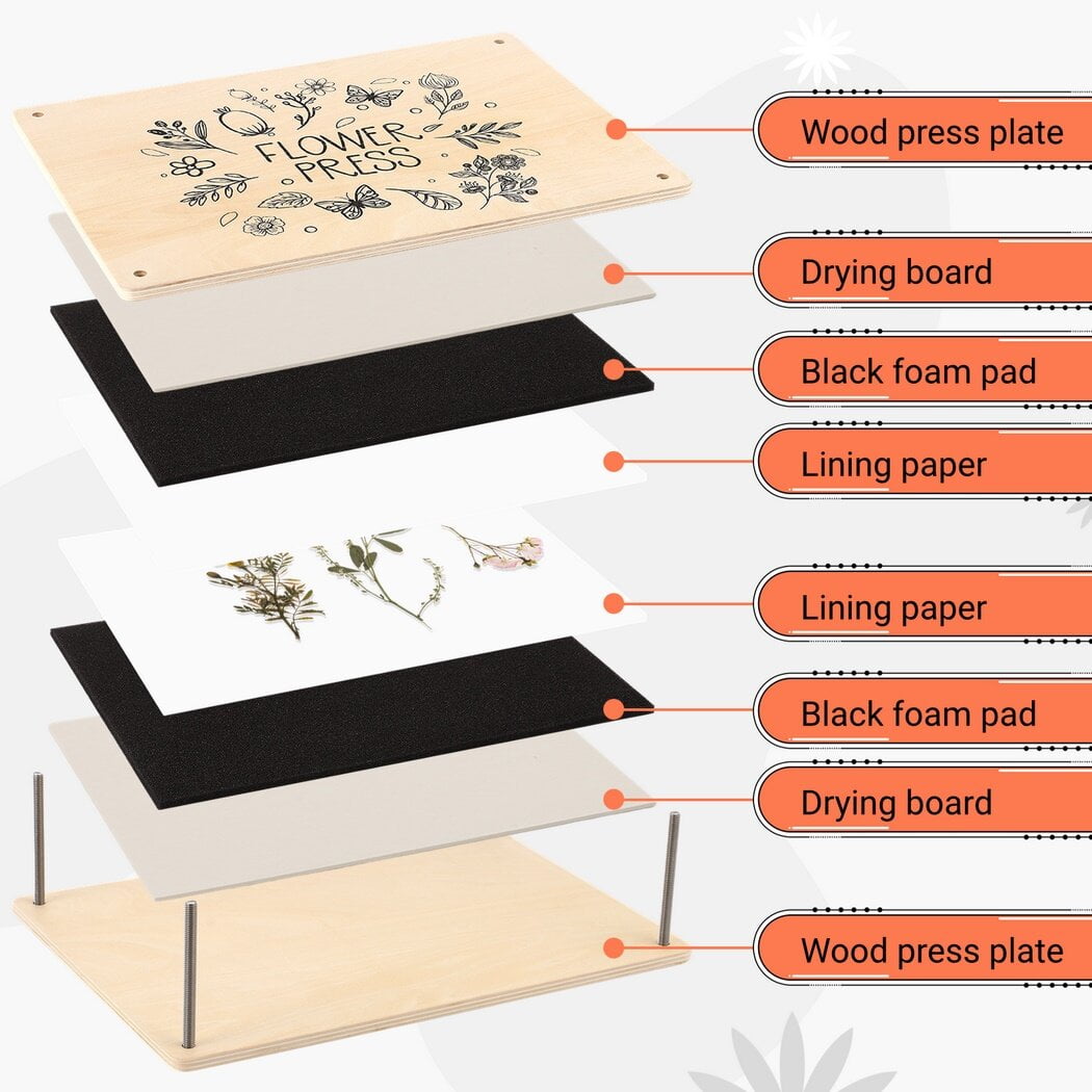 Flower Press Kit, Floral Preservation Supplies, Creative Flower Art Tools, 11.6" x 8.1" Wood Plate, Durable Construction, for Flower Leaf Plant