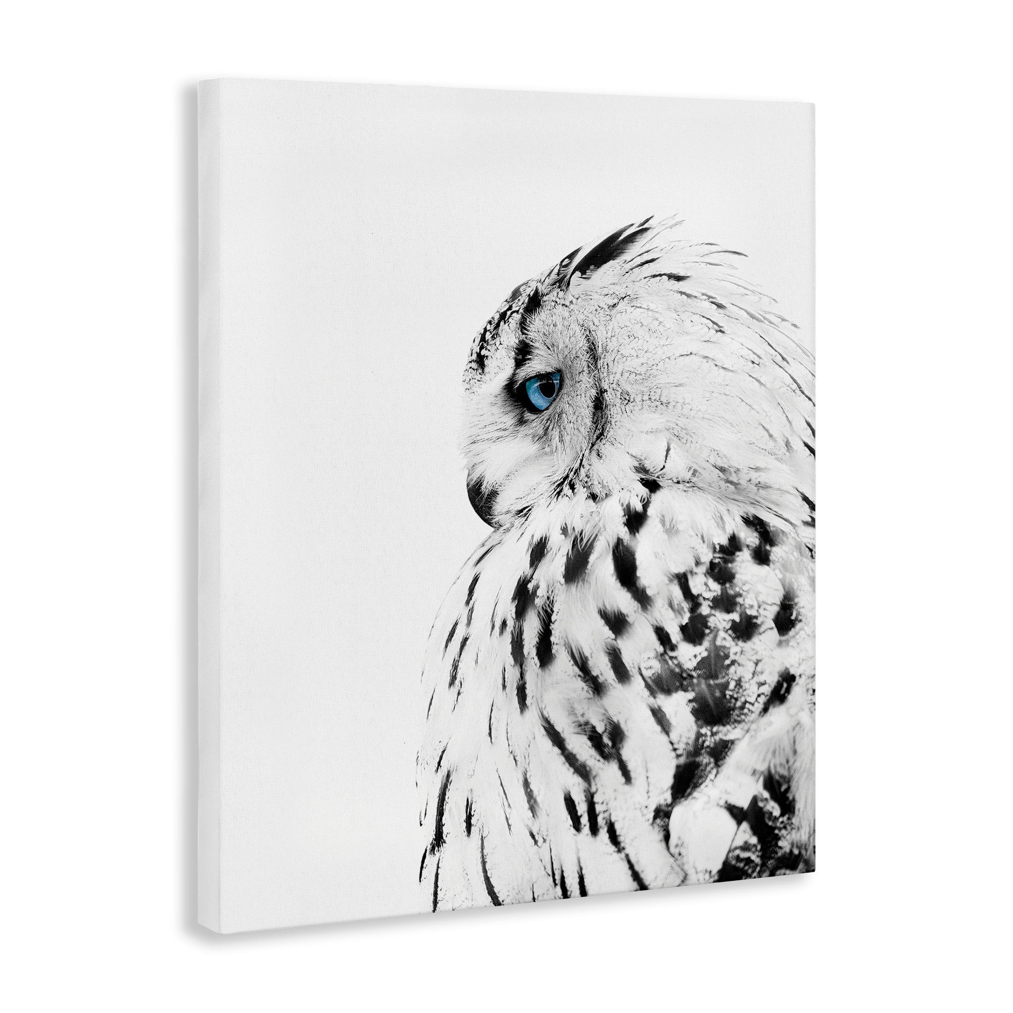 Stupell Industries Snow Owl White Feathers Peering Blue Eyes,16 x 20,Designed by Design Fabrikken