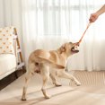 thumbnail image 3 of CBFFDC Pet Ball Toy Dog Ball Toy with Rope Bite Resistant Stress Relief Soft Flexible ETPU Pet Teething Interactive Ball, 3 of 6