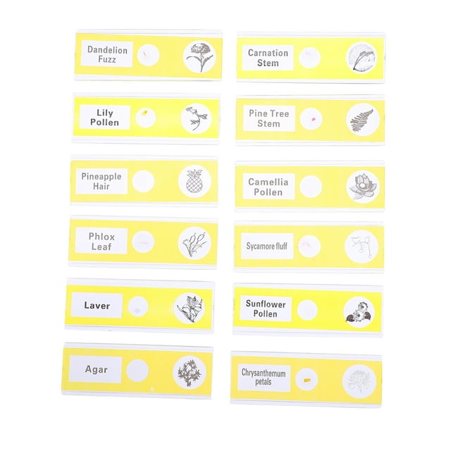 MasteelfCA 12pcs Prepared Microscope Slides Specimen Plants Sample Specimens Slides