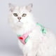 thumbnail image 1 of Pisexur Suministros para mascotas Correa para perros y gatos sin mangas estilo mascota reflectante y transpirable correa adecuada para gatos y perros al aire libre correaperros, gatos y animales, 1 of 6