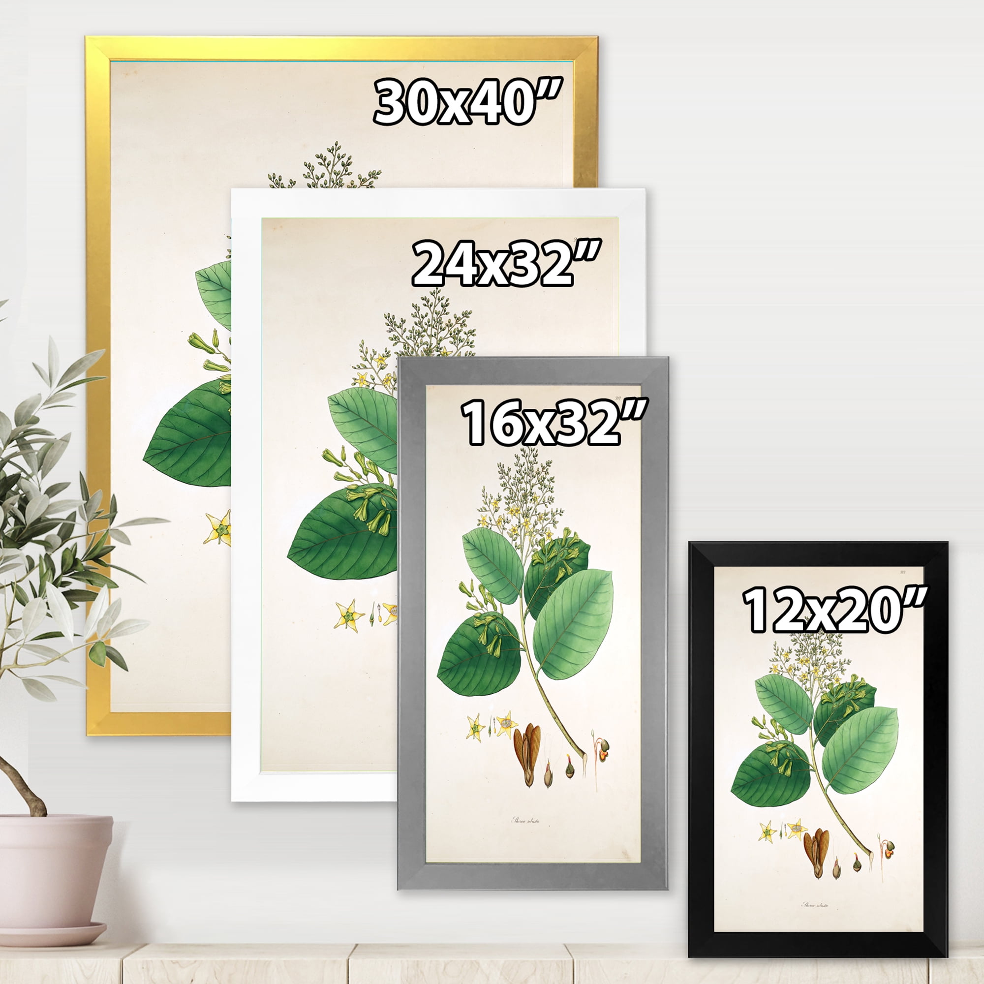 Designart 'Ancient Botanicals III' Farmhouse Framed Art Print