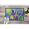 thumbnail image 2 of Carolines Treasures DAC1707JMAT 24 x 36 in. Unisex Tennessee Iris in Watercolor Indoor or Outdoor Mat, 2 of 5