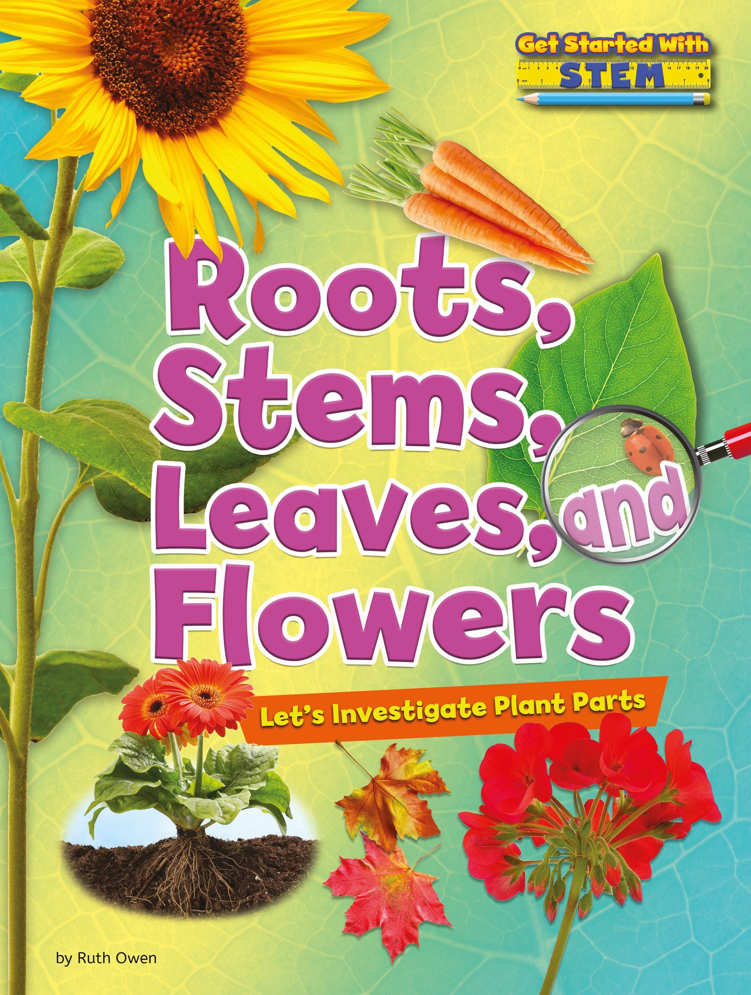 Get Started with Stem Roots, Stems, Leaves, and Flowers Let's