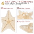 thumbnail image 3 of 2 Pcs Décorations Étoile de Mer Naturelle DIY Décoration Étoile de Mer Aquarium Portable, 3 of 8