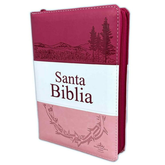 Biblia Letra Grande con Cierre RV1960, manual imit. piel, rosa con índice
