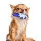 thumbnail image 5 of Juguete interactivo para perros resistente a las mordeduras, juguete de entrenamiento para cachorros, suministros para mascotas, cepillo de dientes Azul, 5 of 9