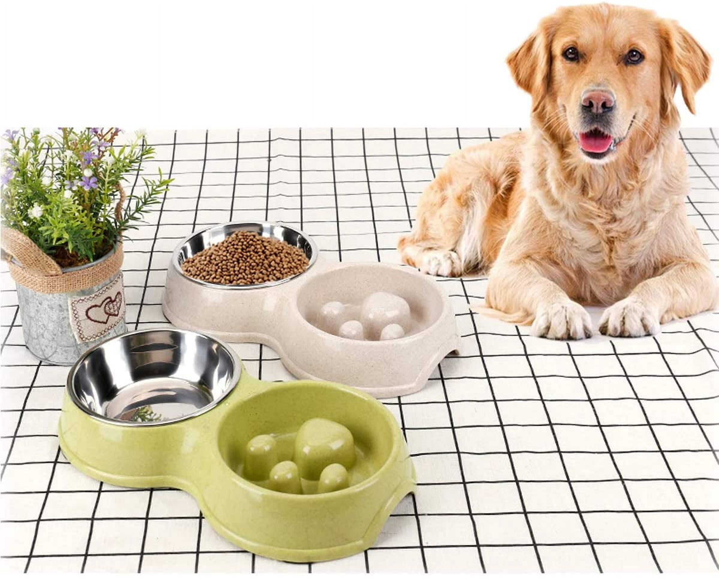 Double Pet Dog Slow Feeder Bowl,Stainless Steel Anti-Choke Puppy Food and Water Feeder for Dogs Cats (Blue)