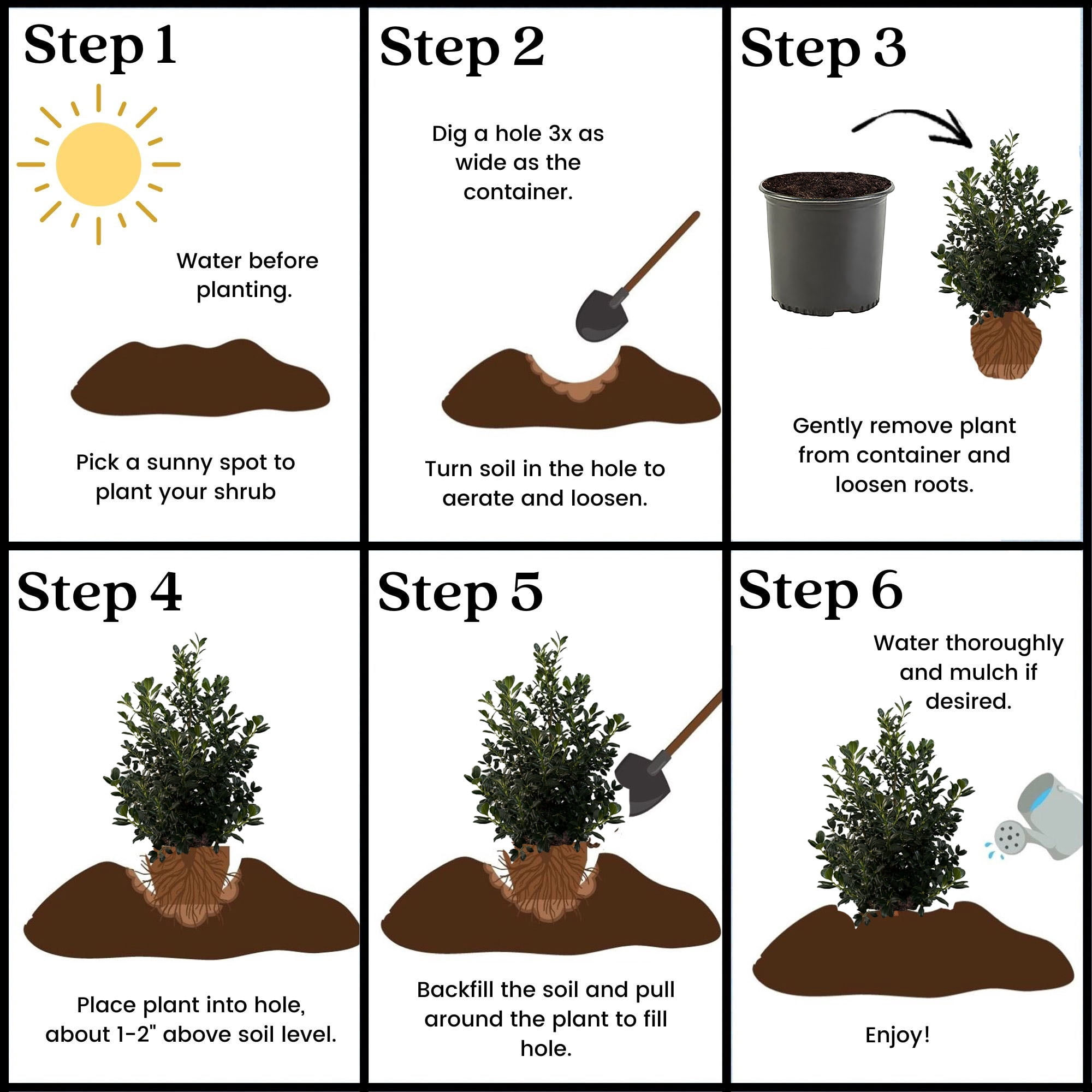 Expert Gardener 7 Gallon Holly Nellie R. Stevens (Ilex) Live Shrub