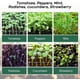 thumbnail image 3 of Bandeja De Plántulas De 12 Agujeros, Bandejas De Germinación De Semillas Gruesas Con Tapa, Bandeja De Vivero De Plántulas Para Cultivo De Germinación De Plántulas En Invernadero Speravity HA034673-00, 3 of 6
