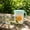 B, variant on Kmonabie Premium Borosilicate Glass Pitcher, 1.6L Large Capacity Cold Water Bottle for Hot Tea Iced Coffee Juice, Leakproof 304 Stainless Steel Lid Non Drip Spout Dishwasher Safe