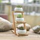 thumbnail image 4 of Inteprter Maceta pequeña redonda de cerámica blanca para plantas suculentas, maceta de Cactus para plantas suculentas con bandeja de bambú para Jardín y Patio Inteprter JJ14144-00B, 4 of 6