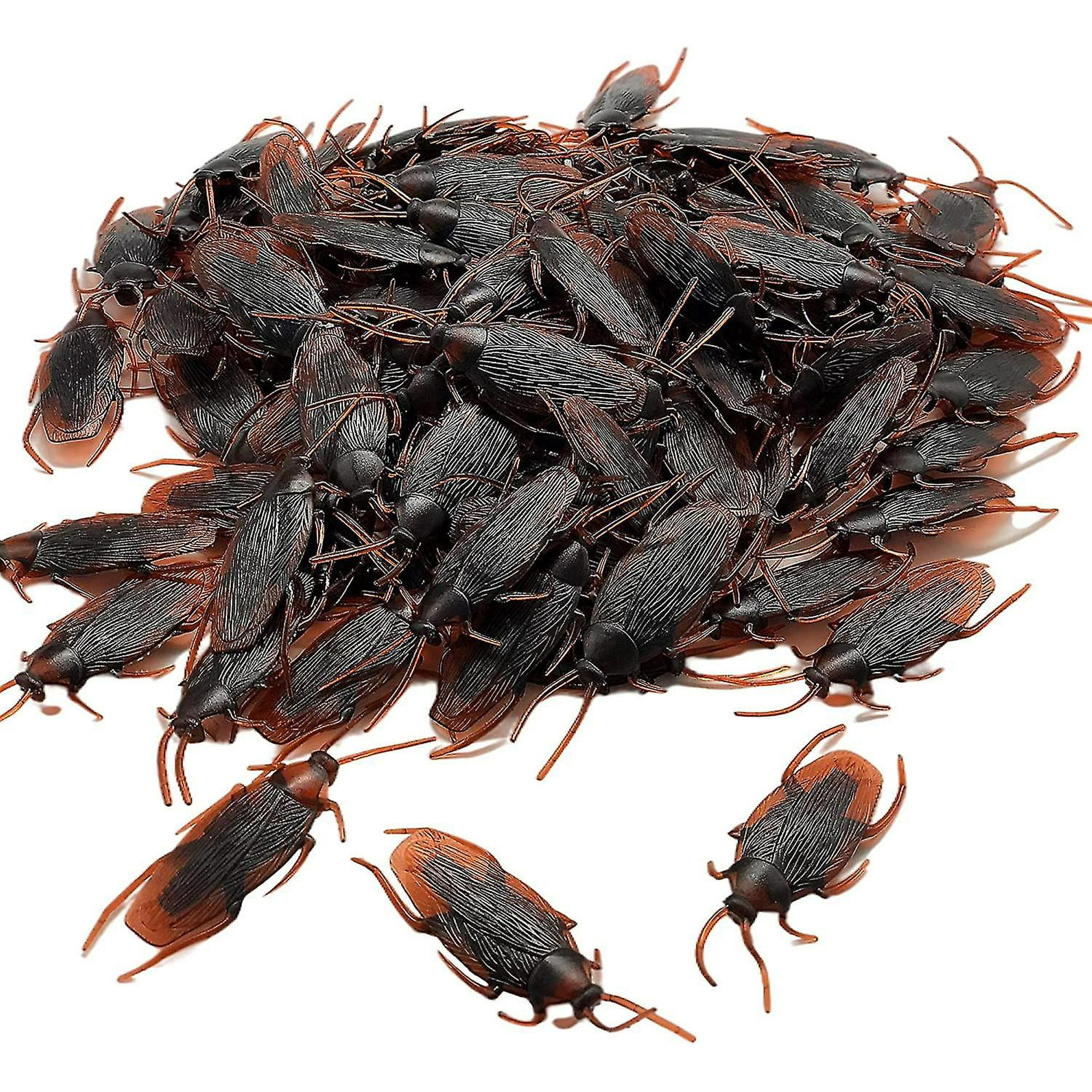 100 Pcs Plastic Fake Roaches,prank Fake Cockroaches Scary Insects Realistic  Bugs, Cockroach Toys For Halloween,party | Walmart Canada