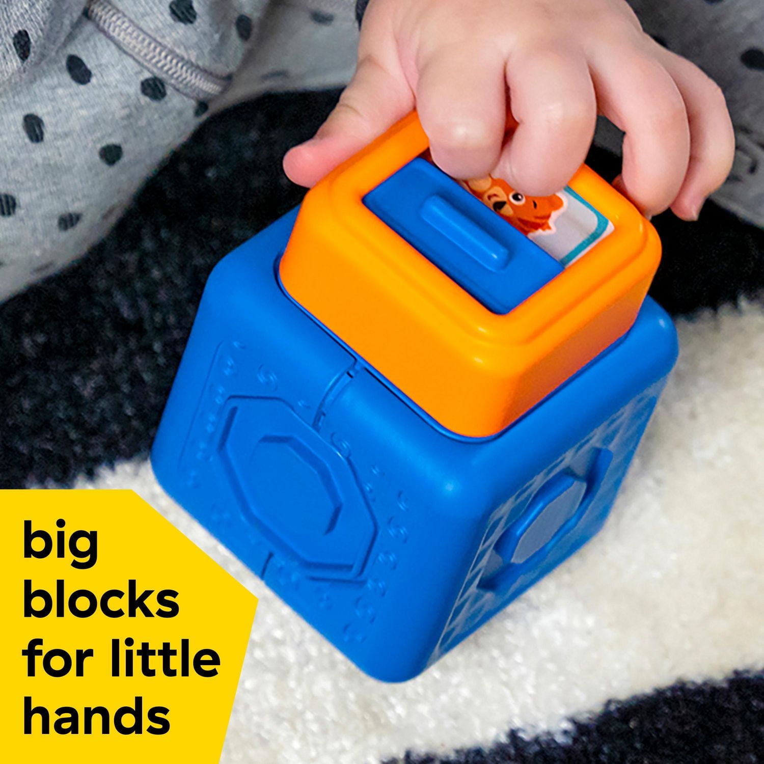 Dive & Soar Connectables de Baby Einstein