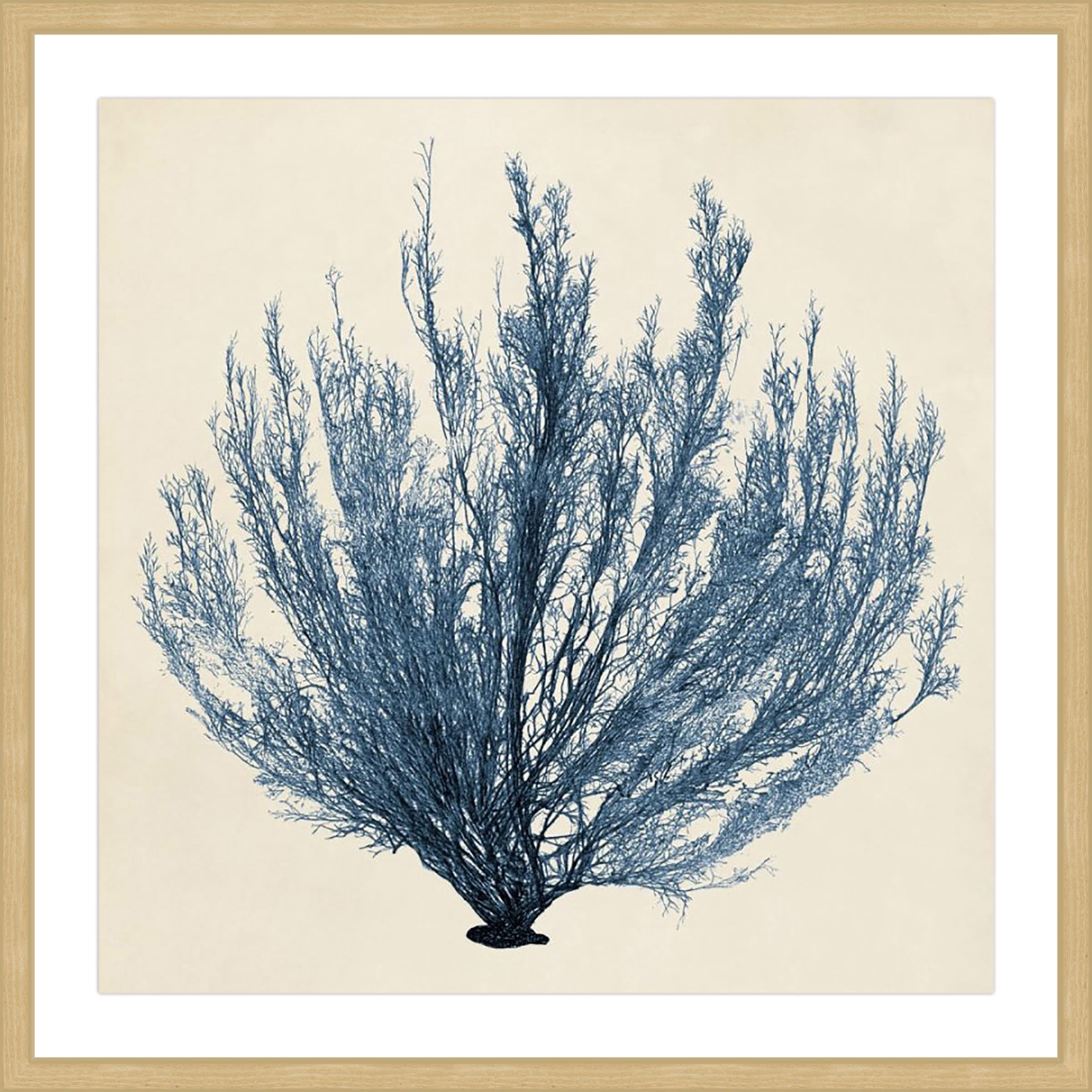 Marmont Hill "Coastal Seaweed III" Framed Painting Print