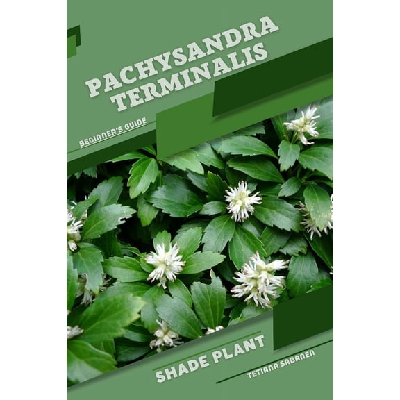 Pachysandra terminalis: Shade plant Beginner's Guide (Paperback)