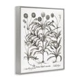 thumbnail image 4 of Stupell Industries Scientific Vintage Flowers Botanical & Floral Painting Gray Framed Art Print Wall Art, 24 x 30, 4 of 10