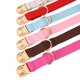 thumbnail image 3 of Collar para perros PET ARTIST de piel suave para perros grandes, color azul, 3 of 8