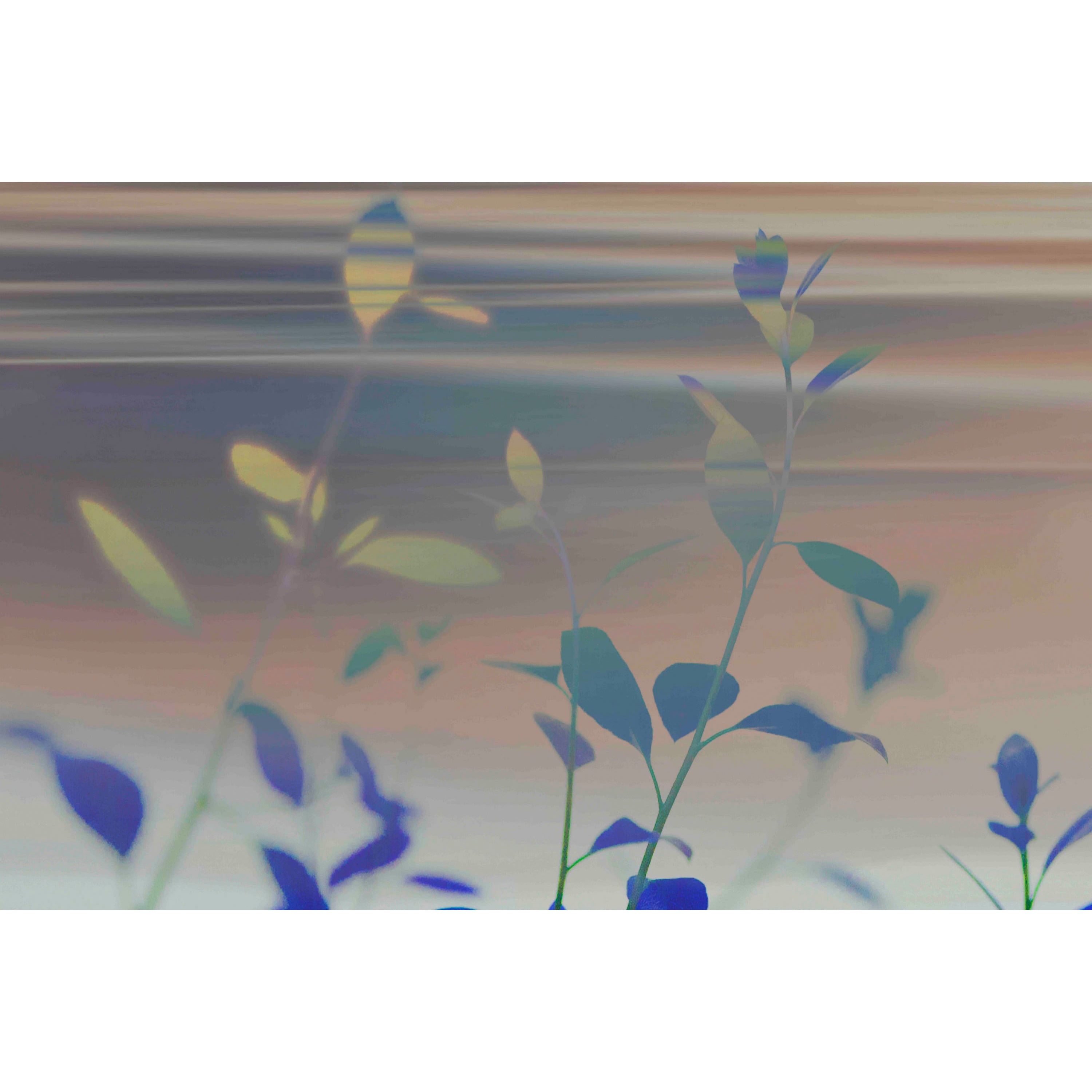 Marmont Hill - "Tranquility I" by Sia Aryai Painting Print on Wrapped Canvas