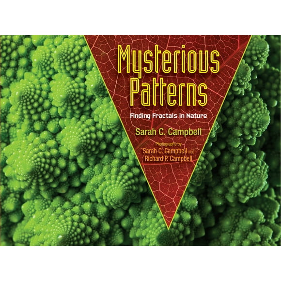 Pre-Owned Mysterious Patterns: Finding Fractals in Nature (Hardcover) 1620916274 9781620916278