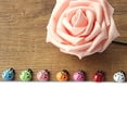 thumbnail image 6 of Naierhg 100Pcs Ladybugs Smooth Charming Colorful 3D Ladybugs Ornaments, 6 of 8