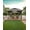 Dark Gray & Light Gray, variant on COZONY 12'x12' Pop-Up Gazebo, Waterproof and UV Protection, Portable and Adjustable Tent