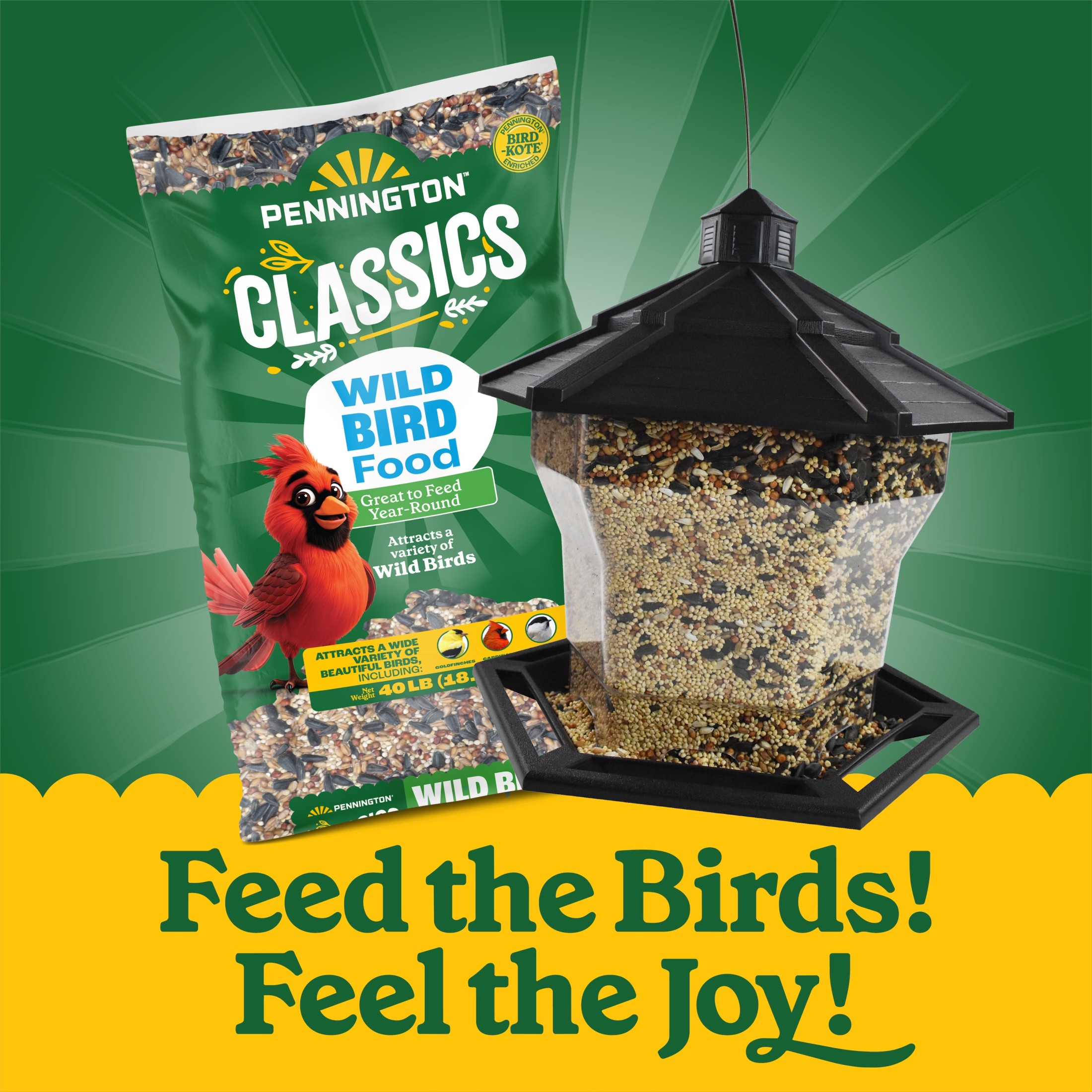 Pennington Earth Smart Bird Hopper Feeder, 6 Lb Capacity photo 8