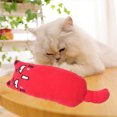 thumbnail image 3 of 2PCS Catnip Toy Creative Bite-resistant Cartoon Cat Chew Toy Cat Teething Toy, 3 of 10