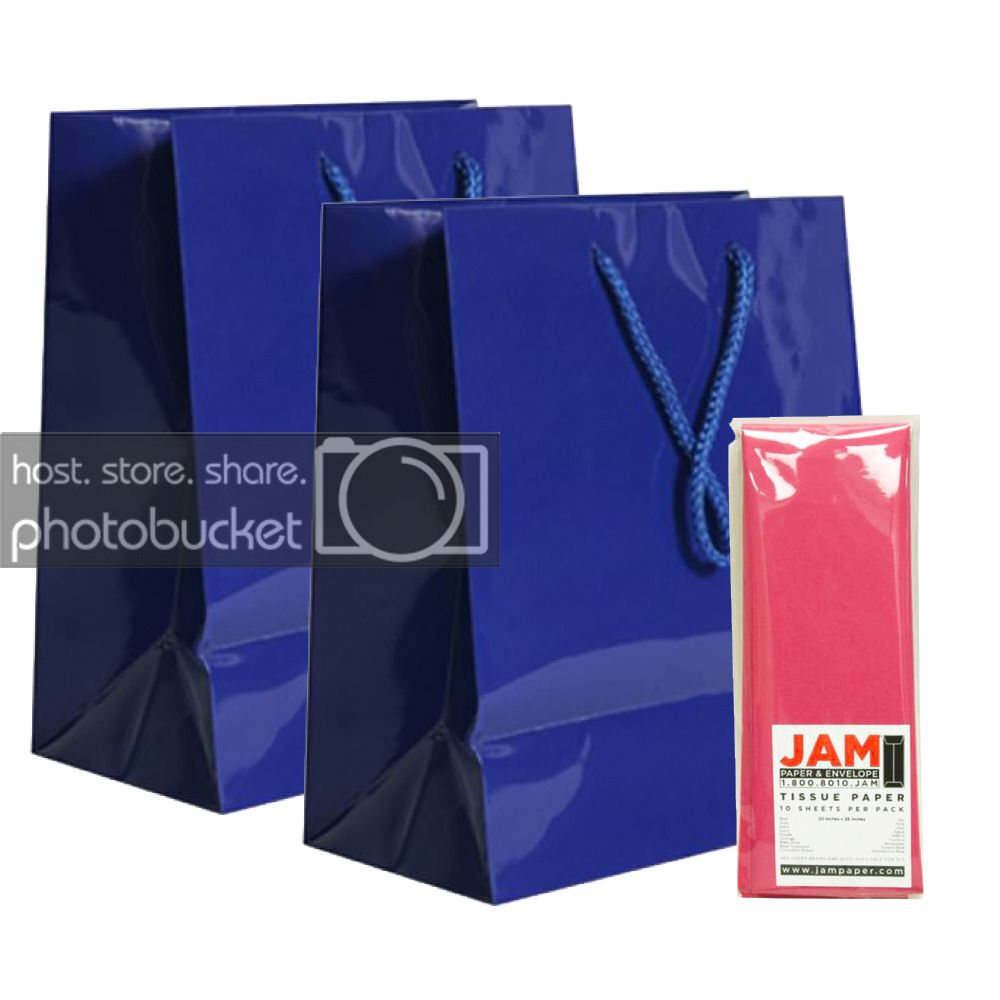 JAM Gift Bag Assortment, 2 Blue Bags & Fuchsia Pink Tissue Paper, 3/Pack