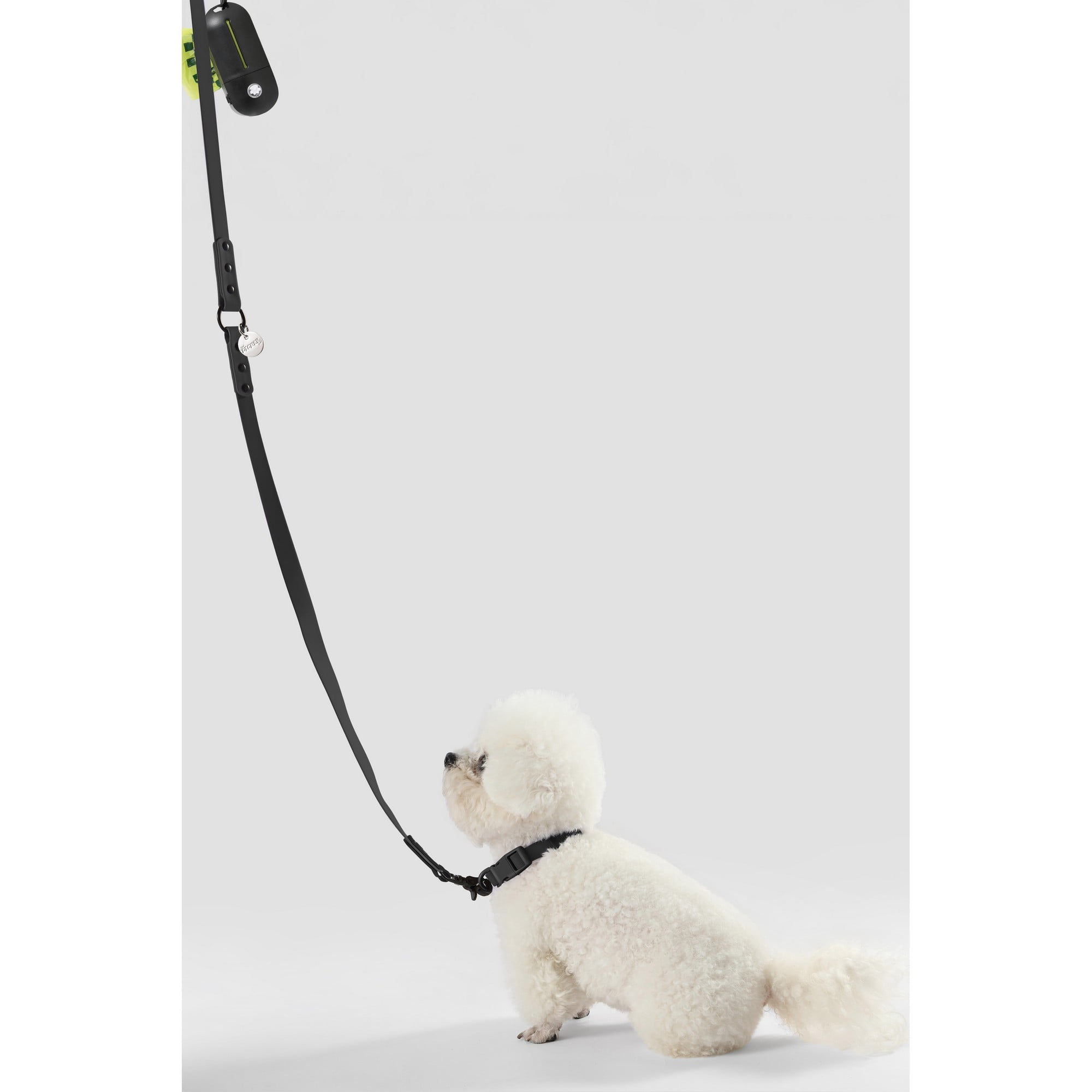 THE LICKER STORE Luna Small 8FT Adjustable 6-in-1 Waterproof Hands-Free Leash and Collar with LED Flashlight, Bag Dispenser, and Poop Bag Holder, Black, WLK1004I-5SET