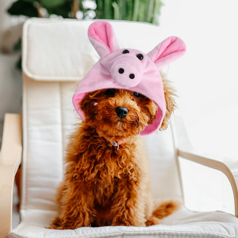 Valentine dog best sale costume