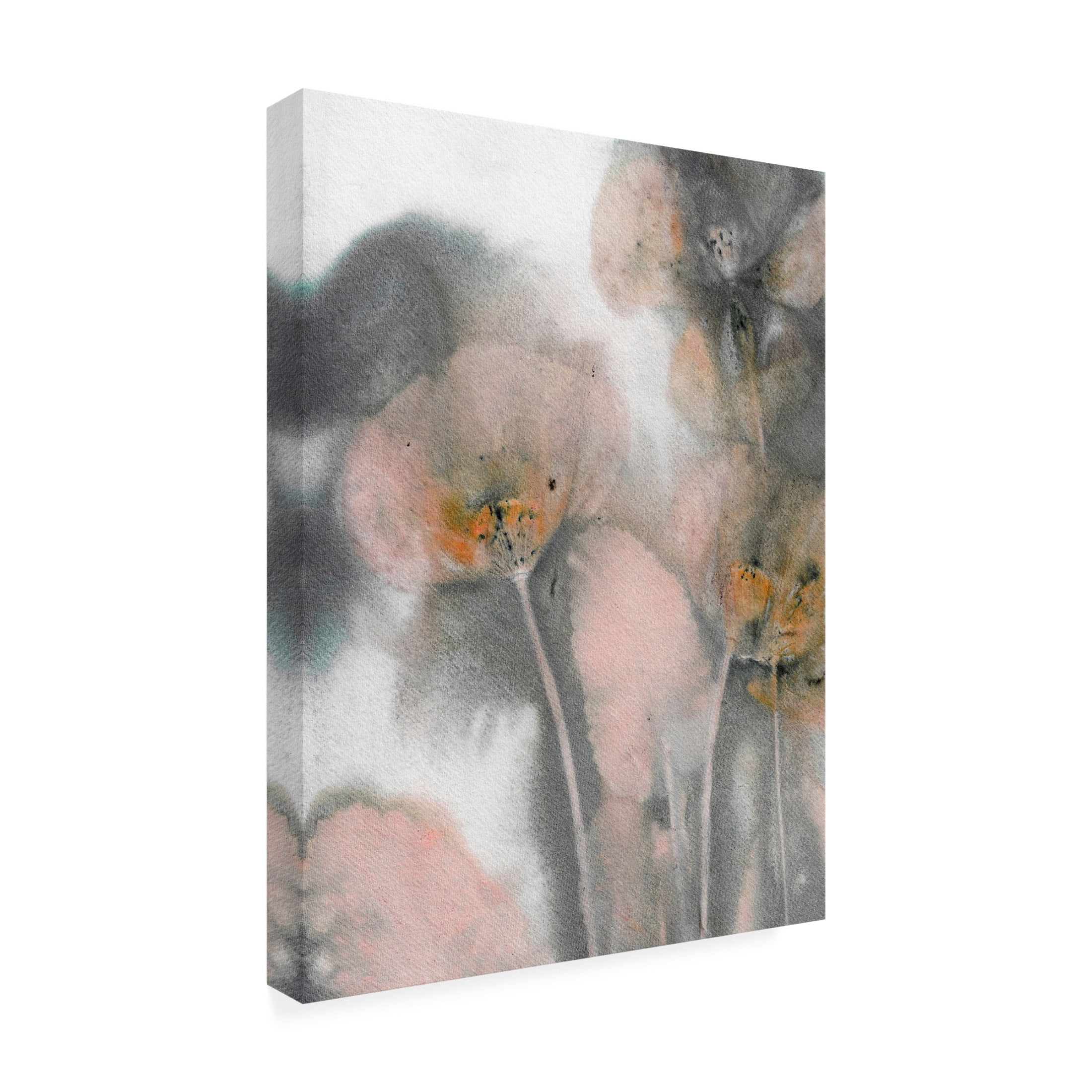 Canvas Wall Art - Pernille Folcarelli 'Poppy Salmon Grey' Wall Art for Living Room, Bedroom, or Office Décor by Trademark Fine Art - 24 x 32 Inches