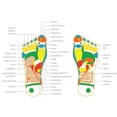 thumbnail image 2 of TENS EMS Fotmassage | Cirkulationstränare, 2 of 5