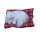 thumbnail image 1 of Juguetes de peluche para niños, muñeco de simulación encantador, juguete para dormir de animales de peluche, juguete de sonido de peluche de la vida real, cumpleaños para niñas y niños Scienceny WJ3202-06, 1 of 7