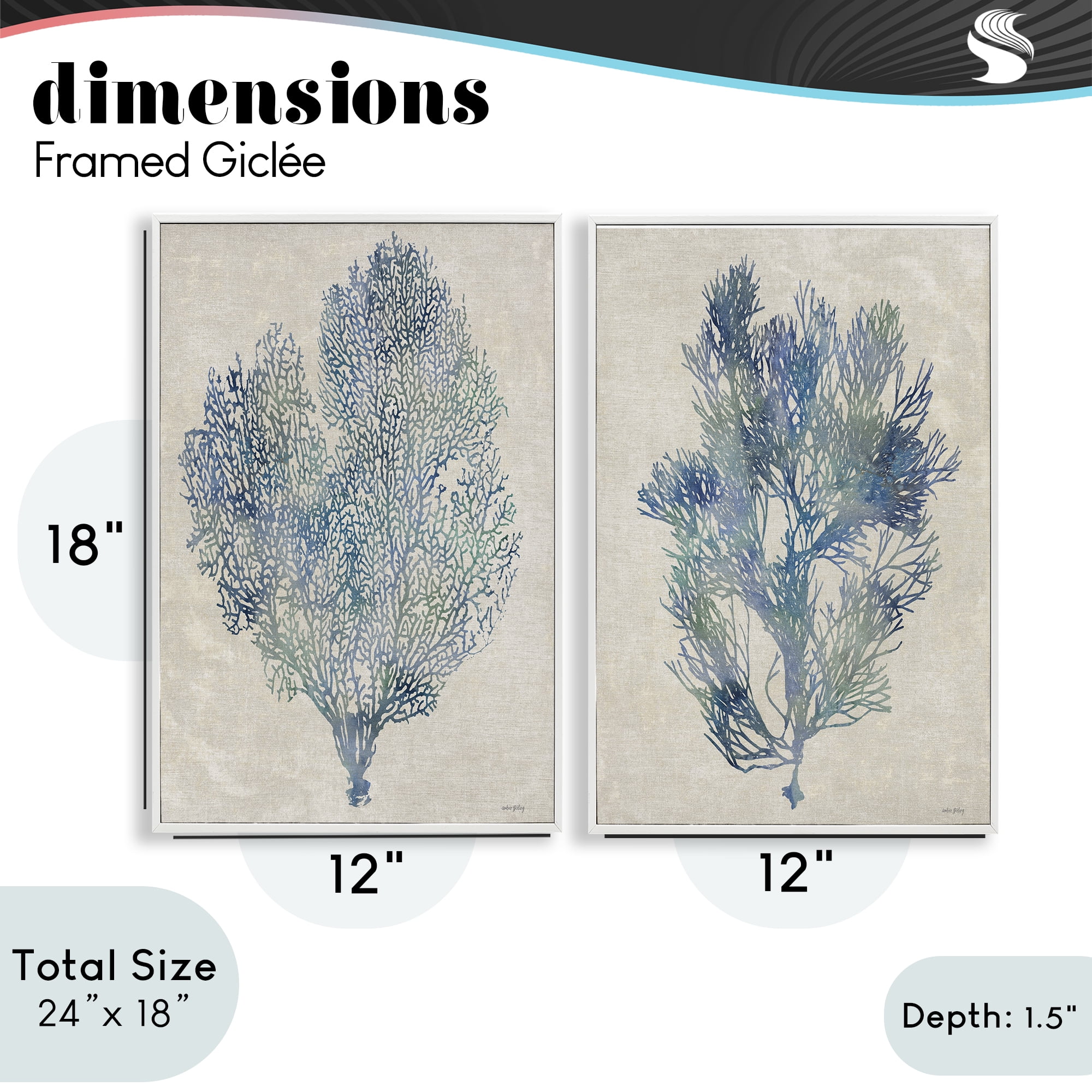 Stupell Industries Fan Coral Study in Blues 2 Piece White Framed Giclee Art Set, design by Amber Sterling