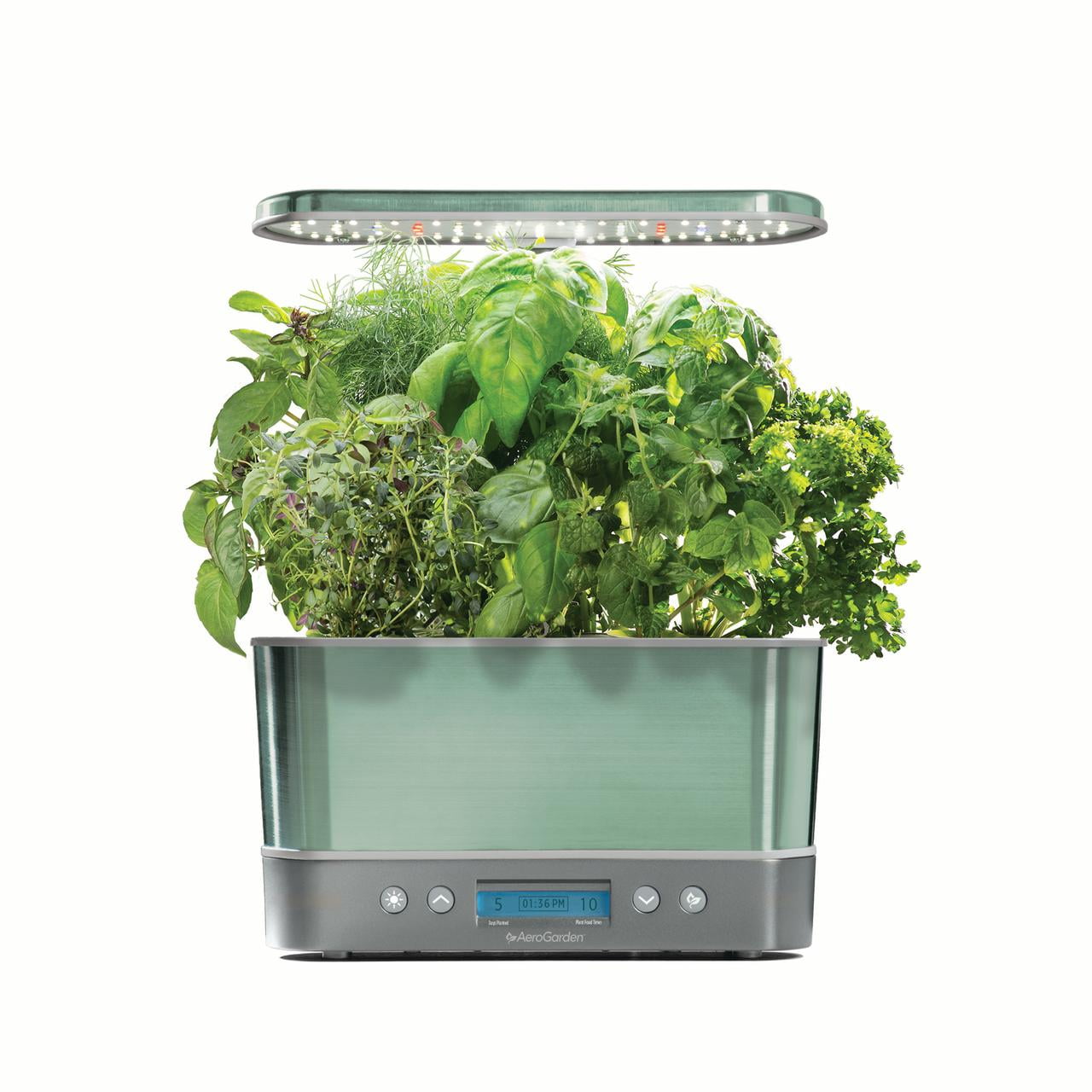 AeroGarden Harvest Elite, Sage with Gourmet Herbs Seed Kit