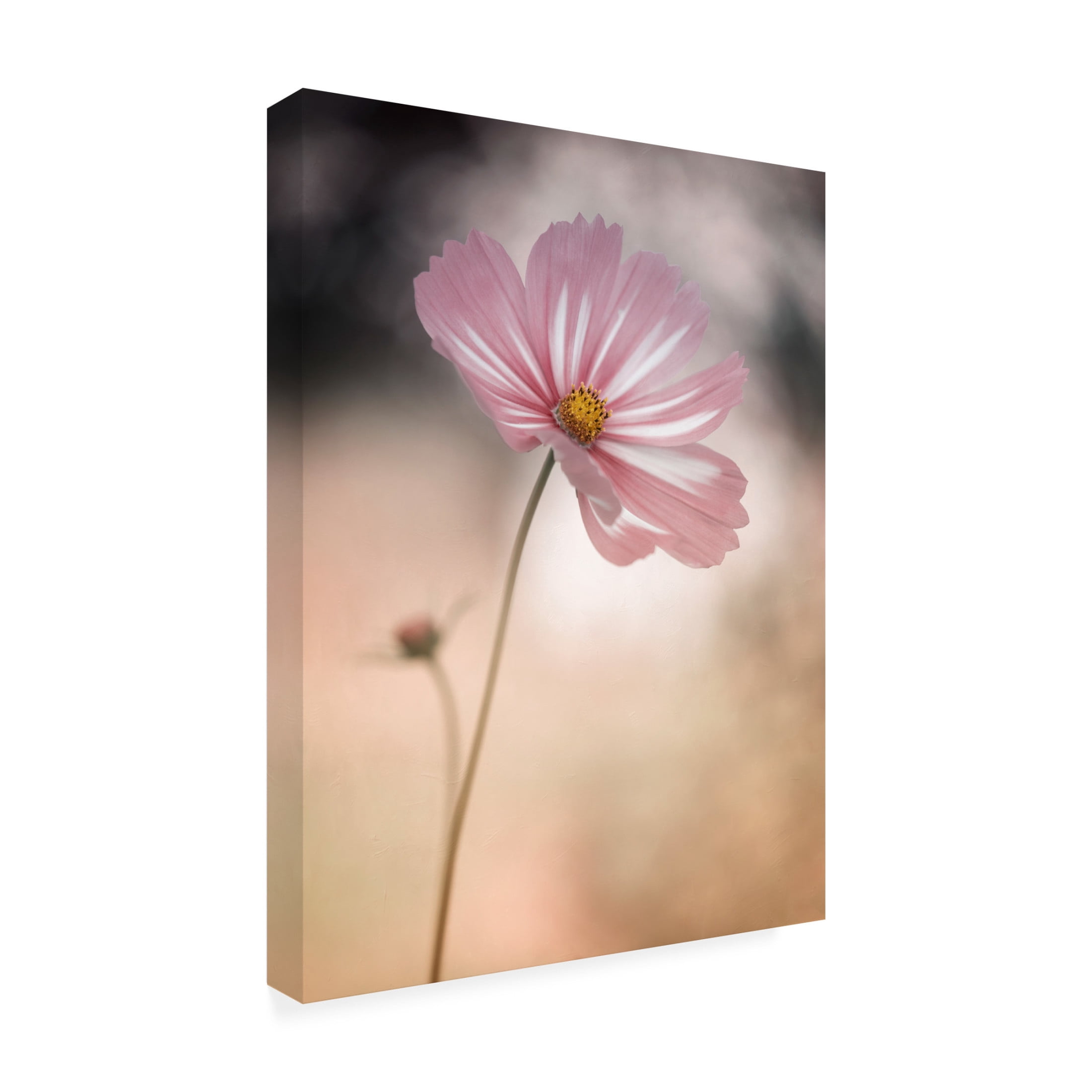 Canvas Wall Art - Lotte Gronkjar 'Cosmos' Wall Art for Living Room, Bedroom, or Office Décor by Trademark Fine Art - 14 x 19 Inches