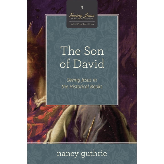 Pre-Owned The Son of David: Seeing Jesus in the Historical Books (a 10-Week Bible Study) Volume 3 (Paperback) 1433536560 9781433536564