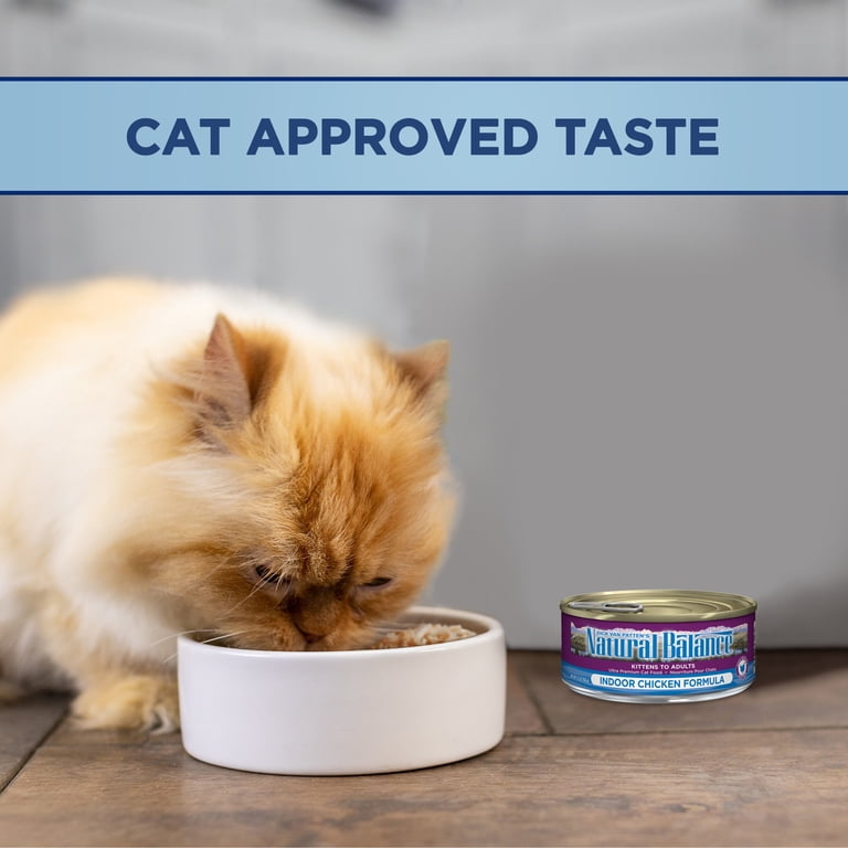 Natural Balance Indoor Wet Cat Food Chicken, Ultra Premium, 5.5 oz, Healthy  Digestive Support - Walmart.com