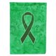 thumbnail image 1 of "Caroline's Treasures AN1221CHF Cinta verde esmeralda para la lona de la bandera de conciencia del cáncer de hígado, grande, multicolor" Caroline's Treasures AN1221CHF, 1 of 1