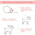 thumbnail image 6 of Unique Bargains Slip for Dogs 5FT No-Pull Dog Leash with Comfortable Rope Design Heavy Duty Training for Small Medium Dogs Green, 6 of 7