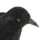 thumbnail image 5 of Adornos de pájaro con plumas falsas de tamaño real para decoración de fiesta de Halloween 1 negro, 5 of 9