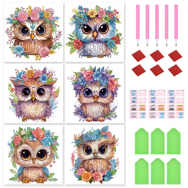 6PCS 5D DIY Parcial Especial en Forma Taladro Diamante Pintura Búhos Kit
