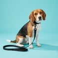 thumbnail image 2 of Vibrant Life 6' Adjustable Hands-Free Leash, Black, L, 2 of 9